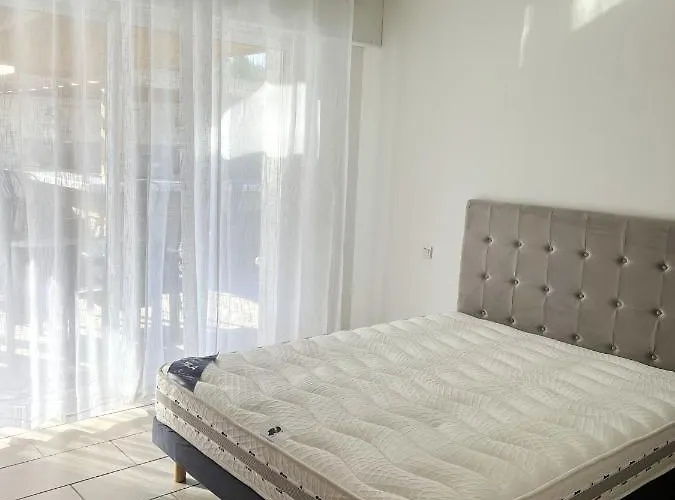 Villa De 3 Avec Piscine Privee Jacuzzi Et Jardin Clos A Vecchio